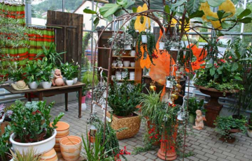 barth meisterfloristik